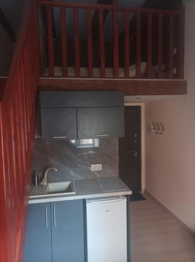 Apartmán Chorni Vivtsy Černovice Exteriér fotografie